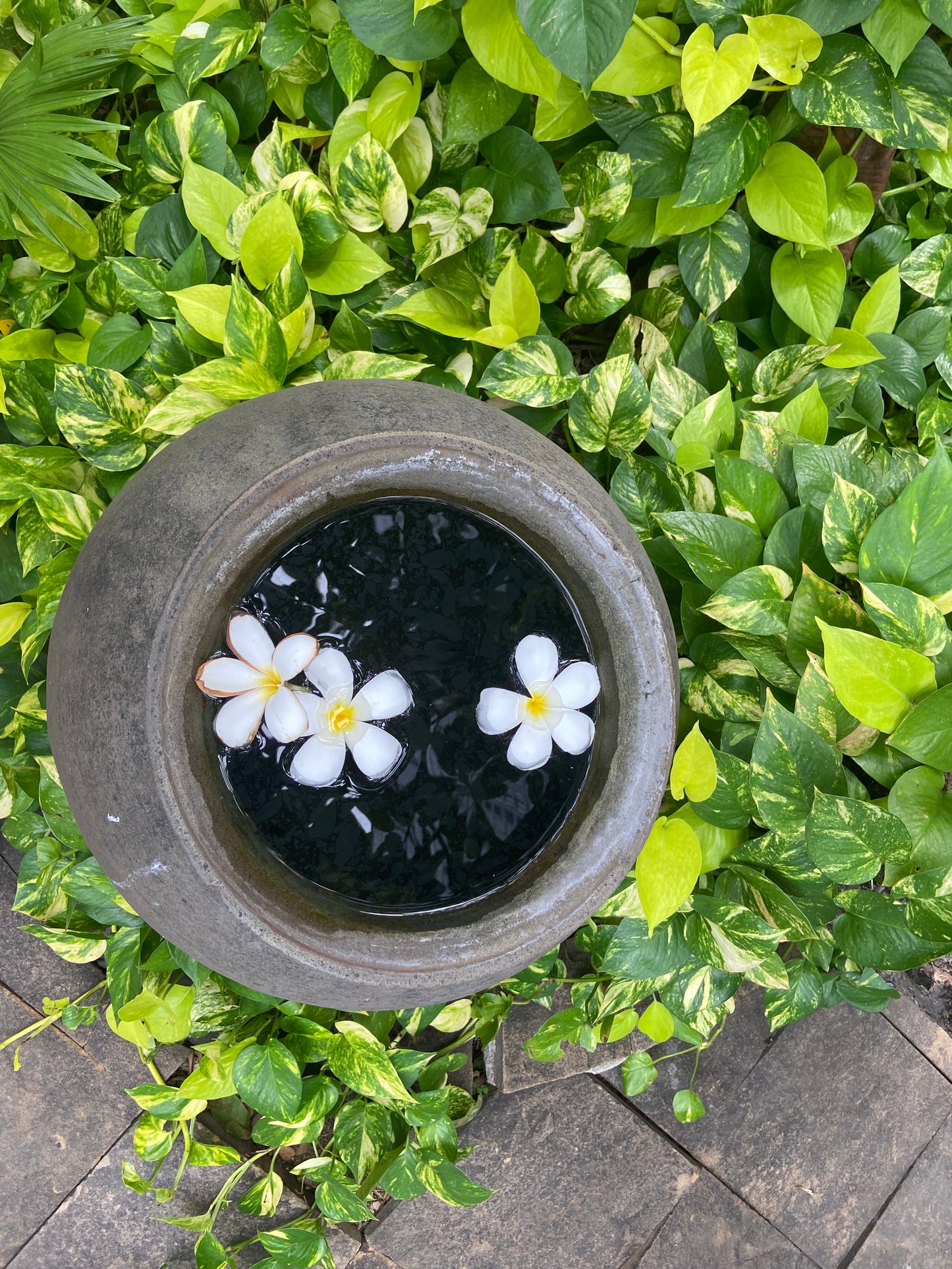 Reiki Angelic Alchemy Healing - Selbstheilung und Aktivierung in der Entspannung