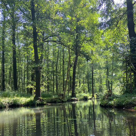 Angelic Universal Regression Alchemy (A.U.R.A.) - Selbstheilung mit deinem Höheren Ich