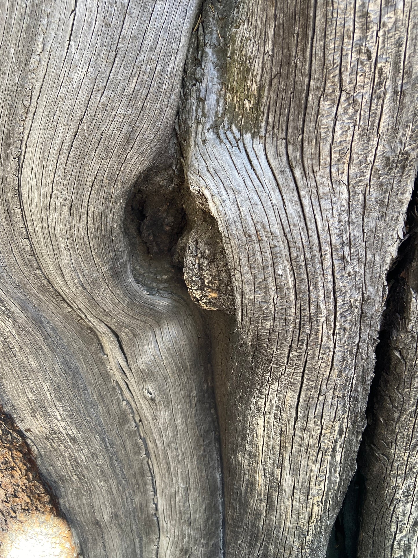 Quantum Galactic Akashic Reading - Botschaften von deinem höheren Selbst