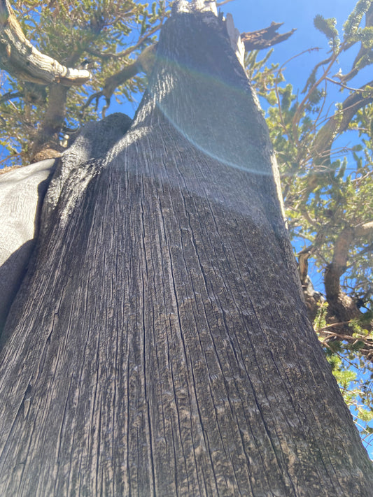 Quantum Galactic Akashic Reading - Botschaften von deinem höheren Selbst